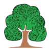 The Woodlands Preschool Logo